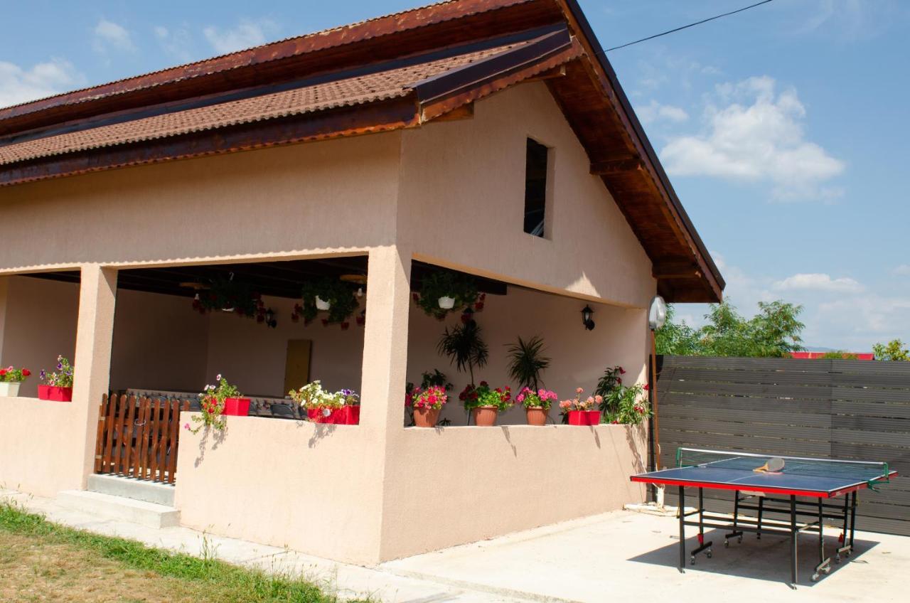 Pensiunea Aly Bumbesti Pitic Buitenkant foto